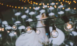 Wedding, Bratabandha, Picnic 4