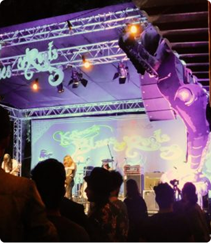 NSS Event Gallery Photo 5